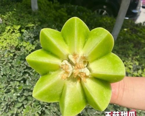 哈密瓜种子不仅可以吃，而且还有许多好处（探究哈密瓜种子的食用价值及其营养成分）