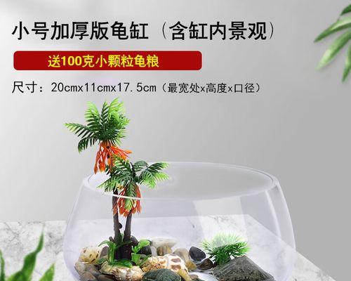 海草栽培指南（如何养好海草）