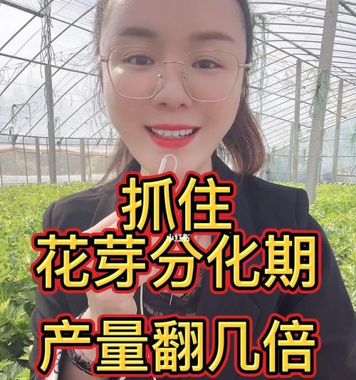 探索植物花芽分化的奥秘（揭开花芽分化的代表意思）