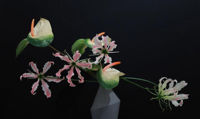 嘉兰的花语及其文化背景（嘉兰花的美丽与意义）