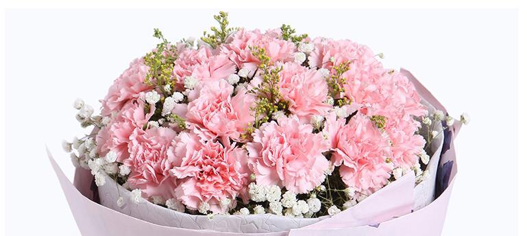 康乃馨花语大揭秘（用10朵康乃馨传递的心意）