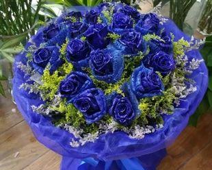 蓝色妖姬花的花语与象征意义（美丽而神秘的蓝色妖姬花）
