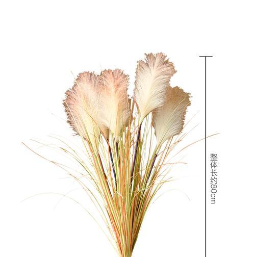 芦苇的花语和用途（芦苇在生活中的多重功能与象征意义）