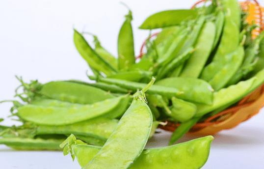荷兰豆的营养与食用方法详解（荷兰豆可以生吃吗）