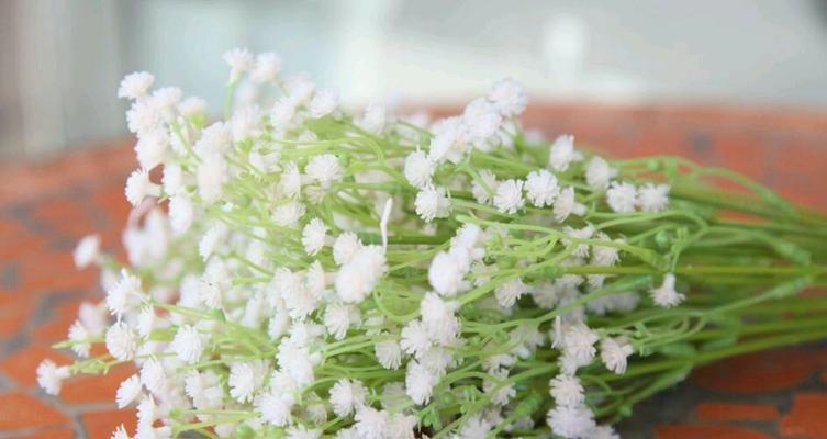 满天星代表着希望和美丽（从满天星花卉的象征意义探索生活的真谛）