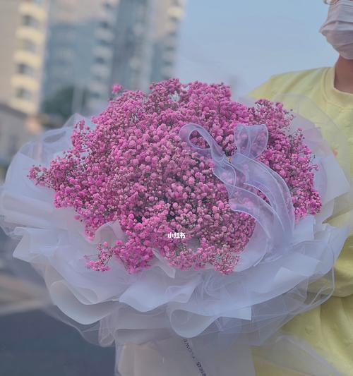 满天星花的传说与花语（神秘与美丽的满天星花）