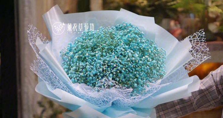满天星花的花语与寓意（满天星花的美丽绽放与心灵的悦动）