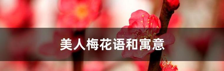 美人梅的花语与美的传承（唤醒心底的柔情）