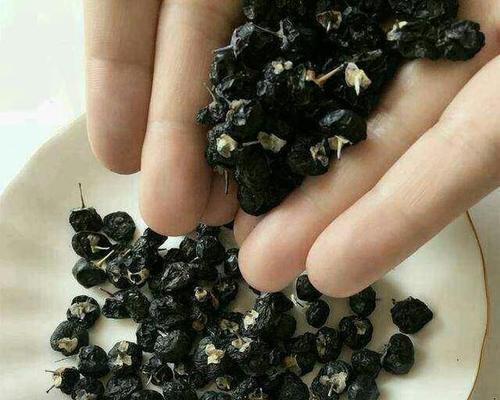 黑枸杞，解读神奇草药的功效与作用（探讨黑枸杞的药用价值及其对身体的健康益处）