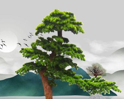 罗汉松在卧室中的适宜性（植物摆放的禁忌）