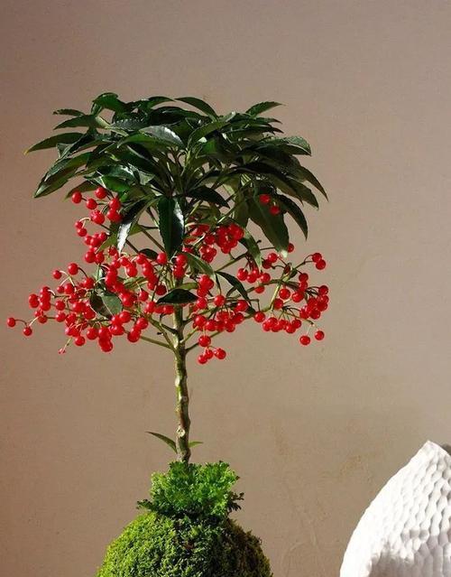 喜庆植物大观——传承幸福的绿色祝福（探寻中国传统文化中的喜庆植物）