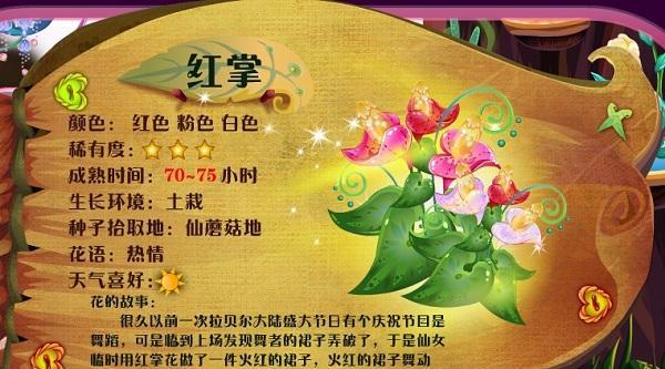 粉掌的花语及其意义（揭示粉掌花的情感象征和美丽寓意）