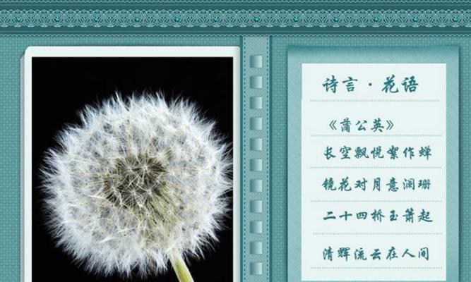 鸽子花的花语（探索鸽子花的花语）