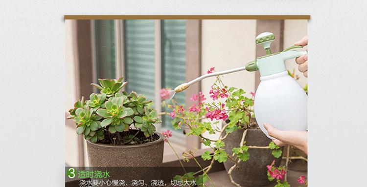 买来的花土能否直接使用（探究花土的使用方法与注意事项）