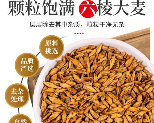麦芽和大麦茶，究竟是一种东西吗（探寻麦芽与大麦茶的异同）