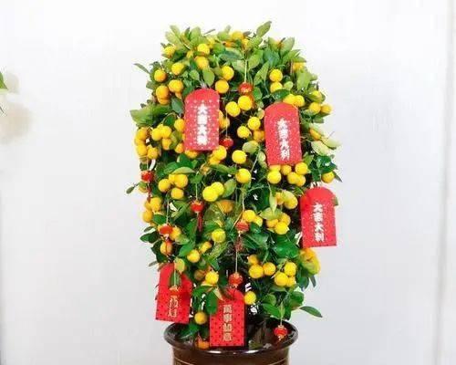 用梅花寓意春节的美好（传统文化中的梅花之意）