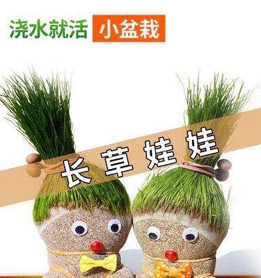 猫草的养护知识（每天浇水真的有必要吗）
