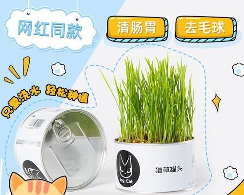 猫草品种大揭秘——为你的宠物选择最佳草种（了解不同品种的猫草）