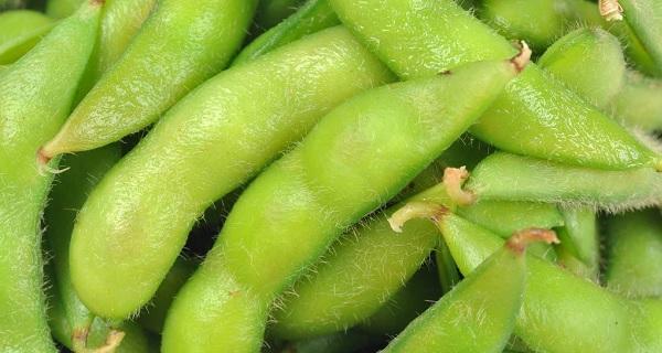 毛豆底肥施什么肥种最佳（掌握正确施肥技巧）