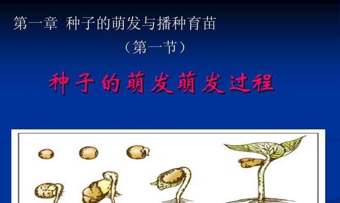 毛桃种子的种植方法（从播种到成活的全过程）