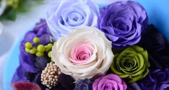 永生花语揭示生命的奥秘（探寻永生之花与人类共同的情感共鸣）