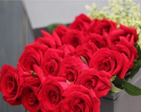 19朵玫瑰的花语与含义（玫瑰花语解读及应用指南）
