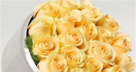 21朵玫瑰的花语与象征意义（用21朵玫瑰传达爱意的艺术）