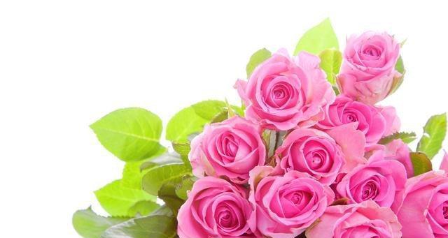 39朵玫瑰花花语的浪漫寓意（探寻39朵玫瑰花所传递的爱情）