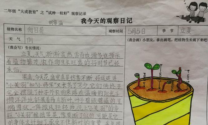 插花达人必备（用最简单的方法打造最美的太阳菊插花）