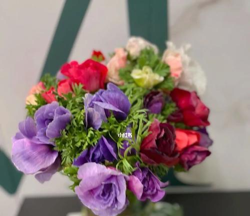 高冷花的花语与个性特点（解读高冷花语）