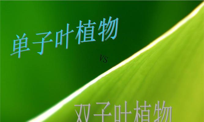 探寻桃树的单子叶之谜（揭开桃树真面目）