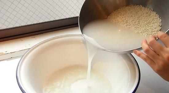 淘米水可以用来浇大蒜吗（正确的淘米水浇灌方法）
