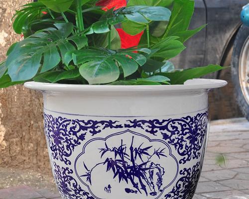 陶瓷花盆的种花指南（选择适合的陶瓷花盆）