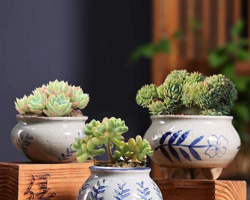 陶罐花盆的选购与养护（以陶罐为基础）