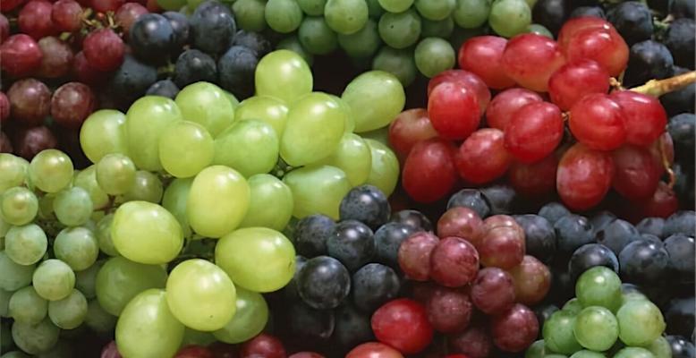 提子有籽吗（探秘提子籽的营养价值和食用方法）