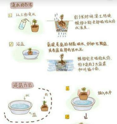 如何挽救下垂的天鹅绒叶子（天鹅绒叶子下垂的原因和如何处理）