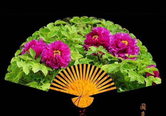 以粉纸扇的花语与象征（传递爱与美的秘密）