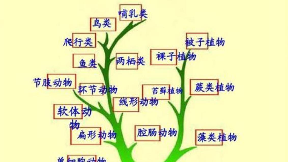 四季养护天堂鸟（春夏秋冬水浇规律全解析）