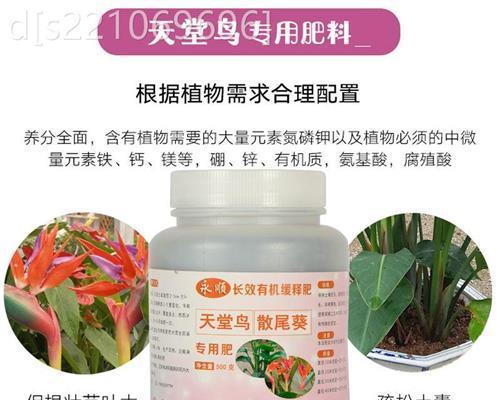 如何选择适合天堂鸟的肥料（掌握这些关键点）