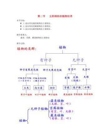 如何正确分盆分株繁殖天堂鸟（时间和方法都不能少）