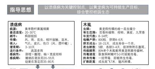 甜瓜病毒病的防治方法（了解病症）