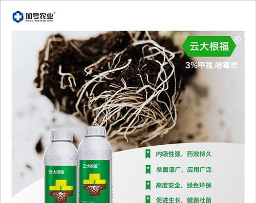 防治甜瓜软腐病，从这些方面入手（有效化解甜瓜软腐病带来的危害）