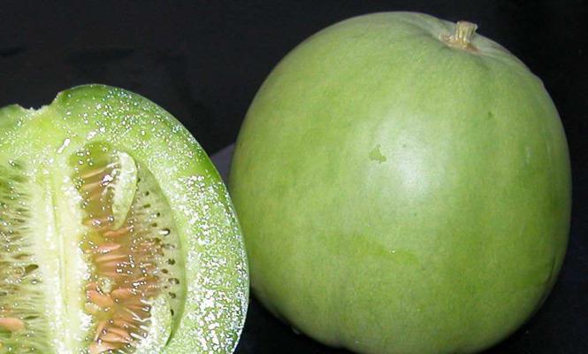 甜瓜种子的营养价值与可食用性（解密甜瓜种子）