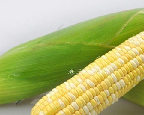 甜玉米种植时间和方法详解（以春季为例）