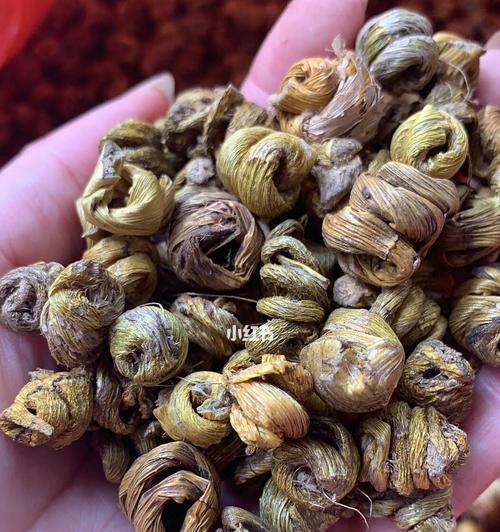 铁皮石斛的生长温度及适应条件（铁皮石斛到底是怕冷还是怕热）