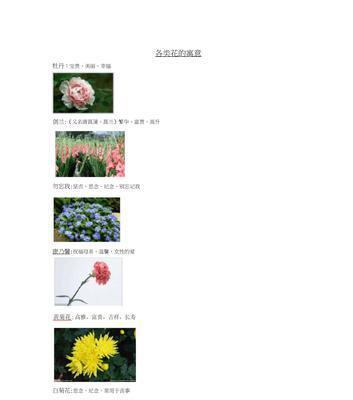 麦穗的花语与寓意——承载丰收与希望的金色禾场（金黄麦穗如诗如画）