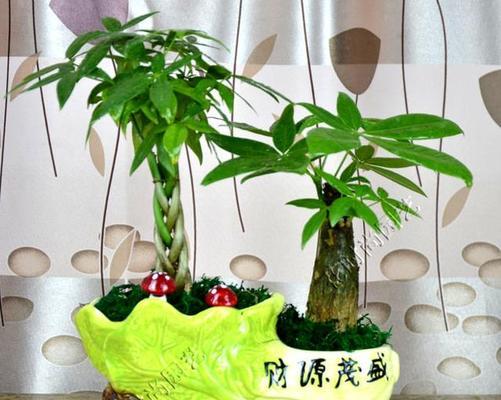 花开财运，寓意财富兴旺（丰收之福）
