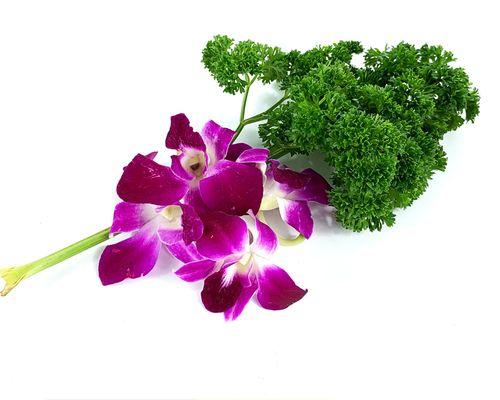 用百合花代表放弃感情——一朵花的坚强与释然（散发着爱与勇气的花语）