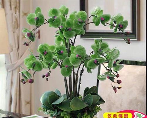 花朵的语言（用花朵传递结束的含义与情感）