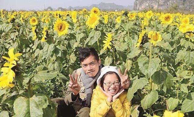 铁掌花的种植与养护（花期长）